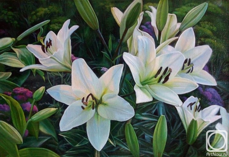 ������� ������ �� ������. �������� ���������. �����