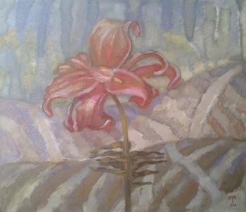 ������� �������