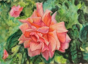 ������� ����������� �� ����