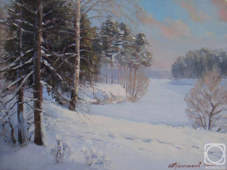 Plotnikov Alexander. Bogorodskoye. Frost and sun
