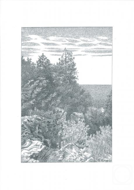 �������. �������� �����. ����. ���������. ��� �� ����