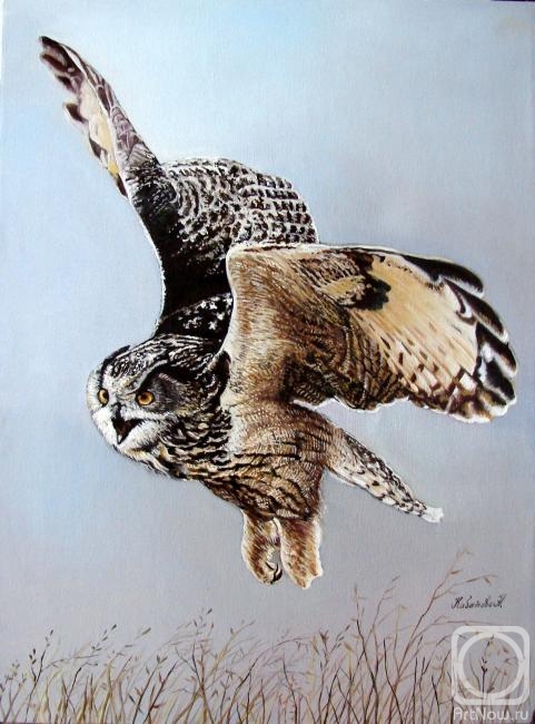 ������� ������ �� ������. �������� �������. �������� ����. ����� �� �������