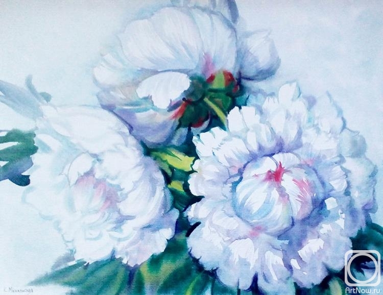 �������. ���������� ���������. ����� ������ �����