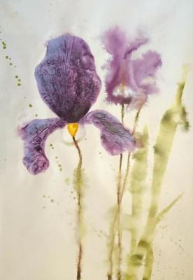 Irises. Garcia Luis