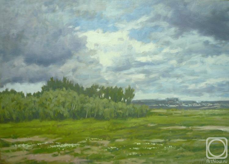 Toporkov Anatoliy. Cloudy day