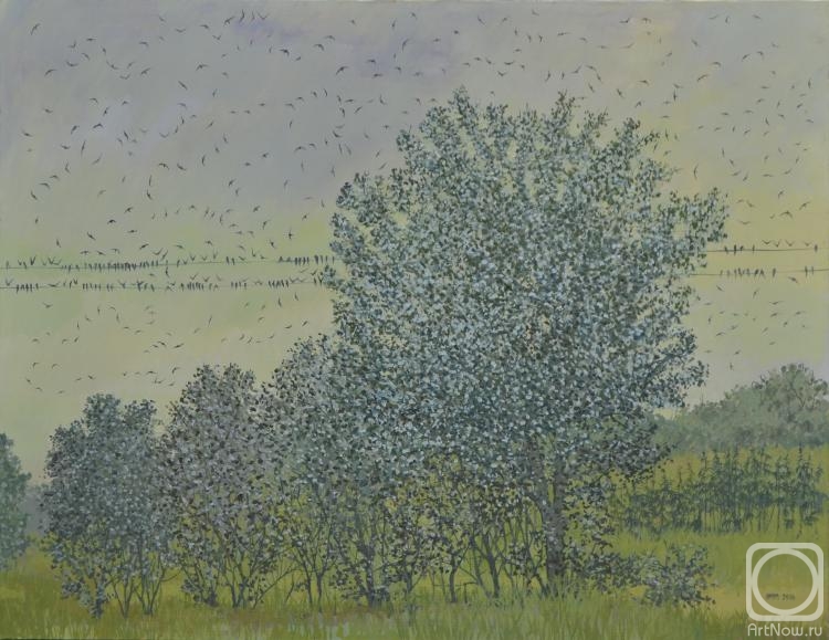 ������� ������ �� ������. ������� ������. ������