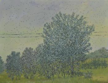 ������. ������� ������