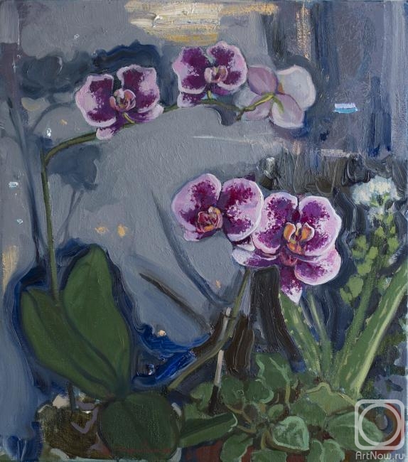 Sharovskaya-Konstantinova Alina. Orchids. Evening