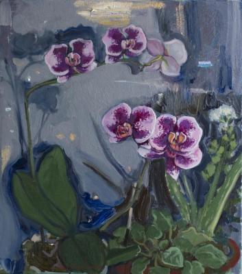 Orchids. Evening. Sharovskaya-Konstantinova Alina