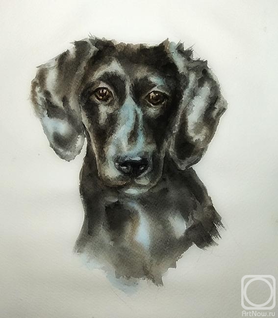 �������. ���������� �������. ����