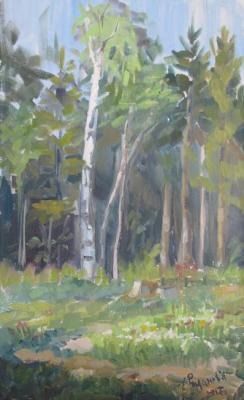 Spring came. Edge with flowers