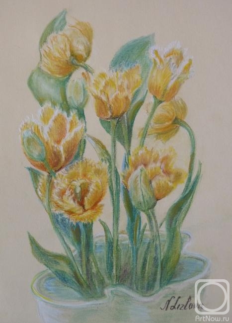 �������. ������� �������. �������� �����������