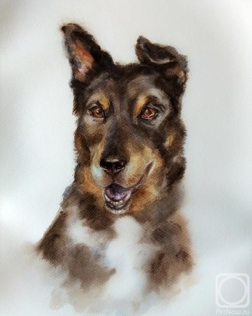 �������. ���������� �������. ����