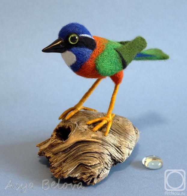 ������ ���. �����