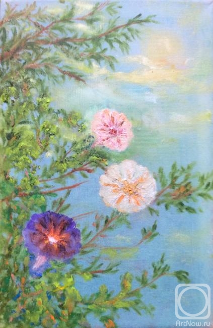 ������� ������ �� ������. ������ ����. ��������� �������. ���� "������������"