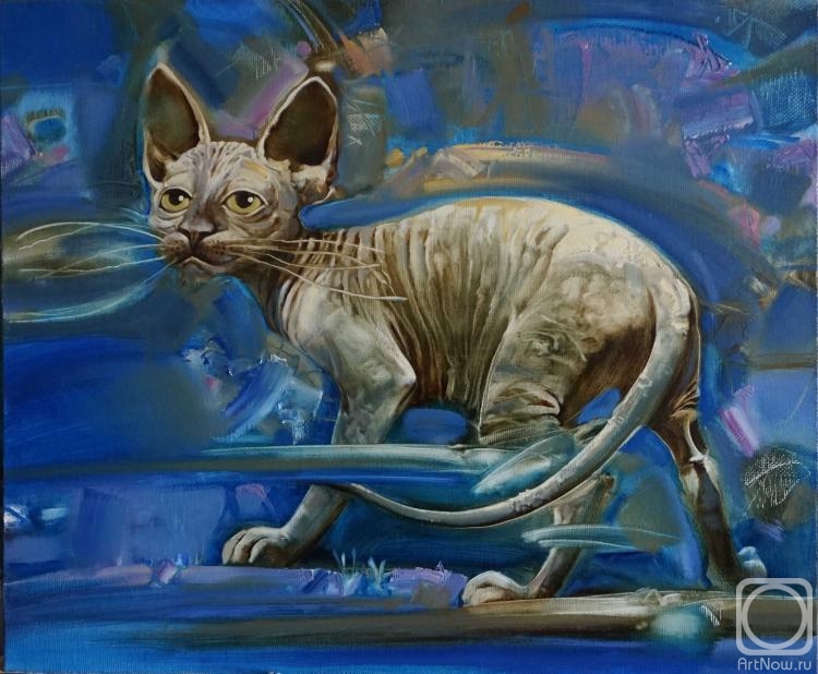 ������� ������ �� ������. ������� ����������. ������