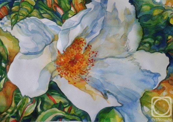 �������. ������� ������. ������