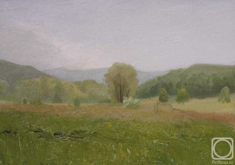 Valyavina Elena. Green meadow