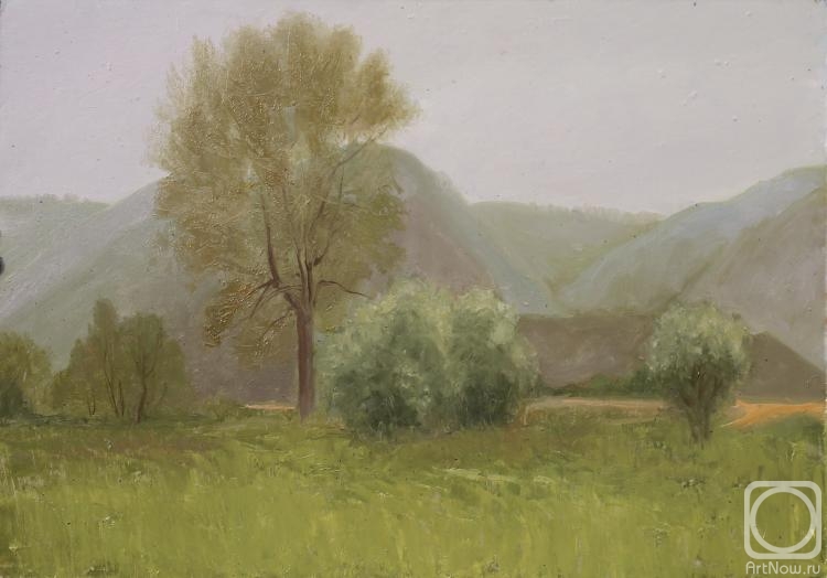 Valyavina Elena. Gray day