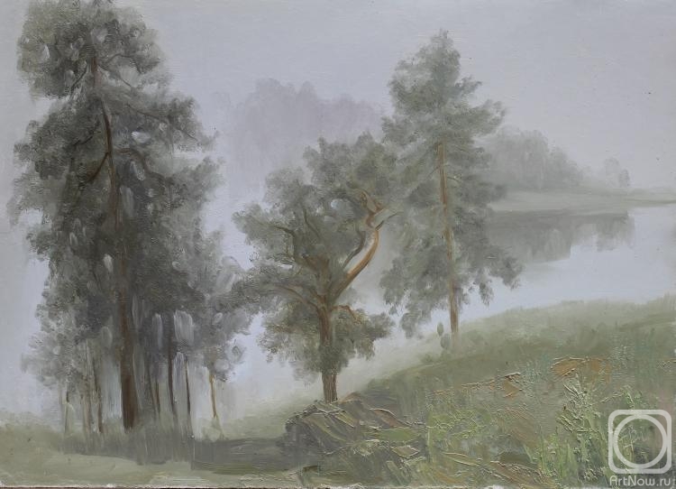 Valyavina Elena. Fog dissipates