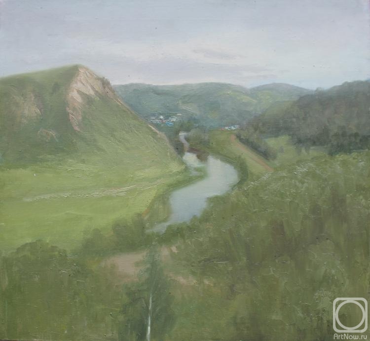 Valyavina Elena. Views Antushevo from the mountain