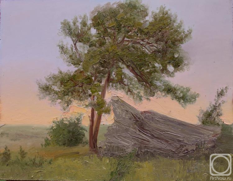 Valyavina Elena. Evening