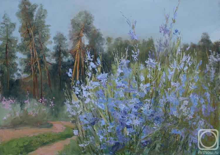 Valyavina Elena. Chicory blooms