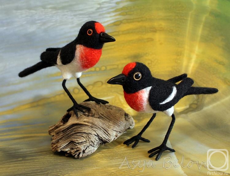 Belova Asya. Two red-fronted petroiki