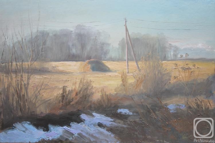 Valyavina Elena. Field