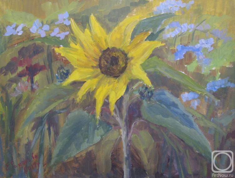 Romanova Elena. Sunflower