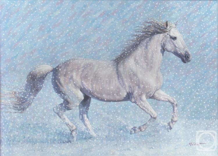 Urazayev Mirat. White Horse, Paso-fino