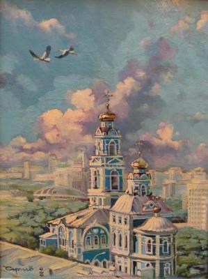 One Flew Over the Ascension Hill. Sergeev Andrey