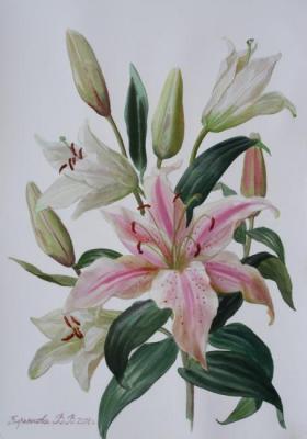 ������� ��������� ����� �����