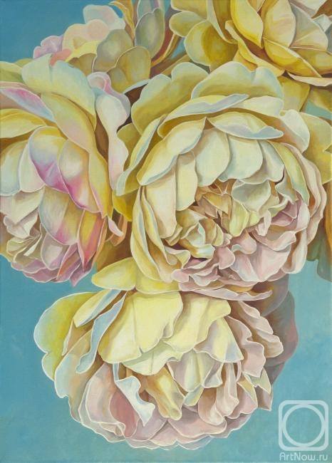 ������� ������ �� ������. ���������� ���������. ������ ����