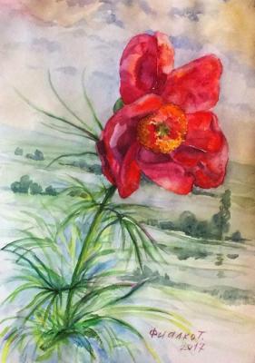 Scarlet flower. Fialko Tatyana