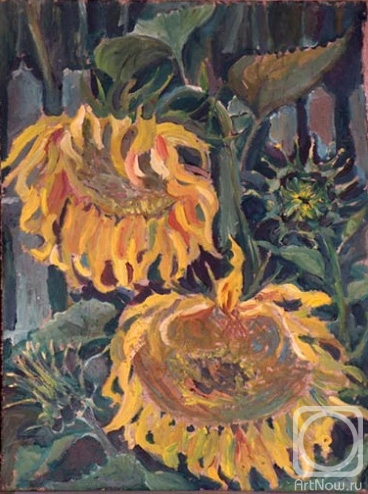 Korolev Leonid. Sunflowers
