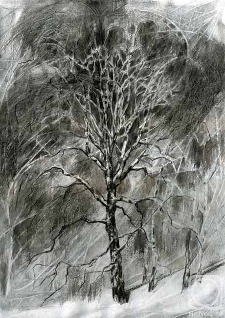 �������. ����� ���������. �����