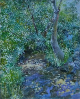 ������� ������� ����