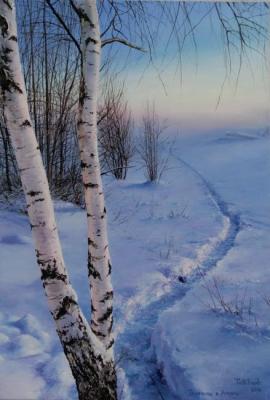 Path in January. Vokhmin Ivan