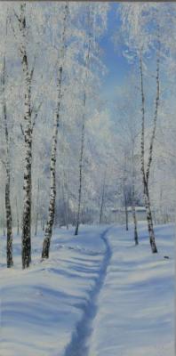 Path in a birch forest ( winter)