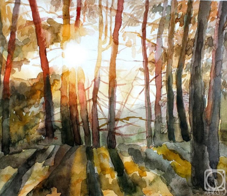 �������. �������� �������. �������� ������