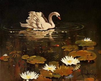lonely swan (Painting A Water Lily). Vukovic Dusan