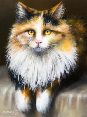 Cat ( ). Khrapkova Svetlana