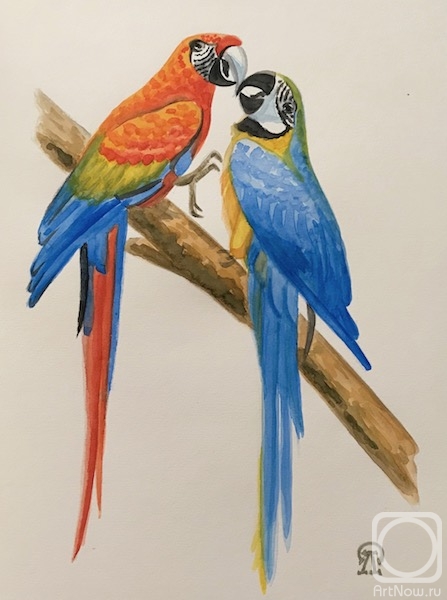 �������. �������� ������. �������