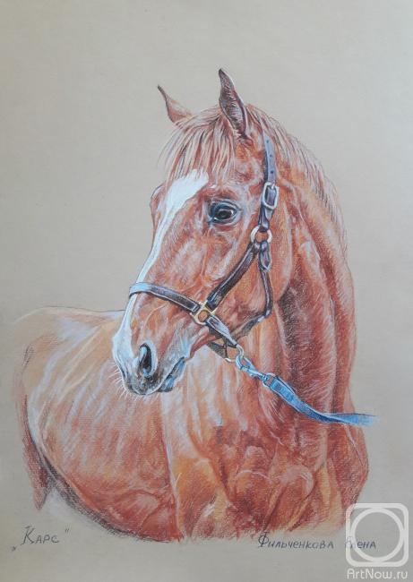 �������. ����������� �����. ����