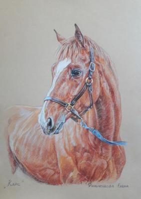 ����. ����������� �����