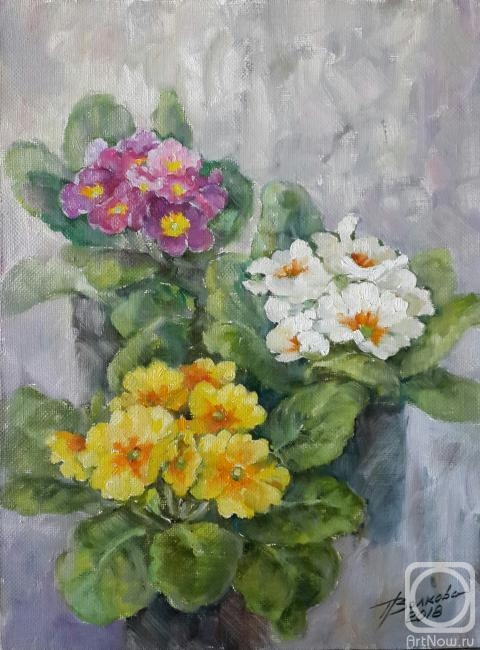 ������� ������ �� ������. ������� �������. �������