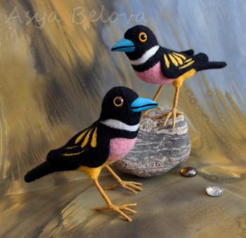 ����������