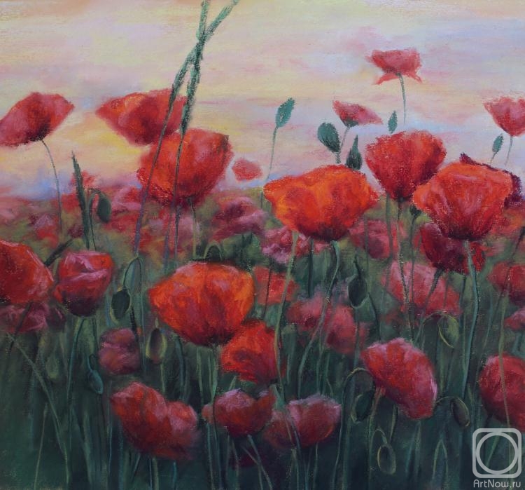 �������. ���������� ���������. ����