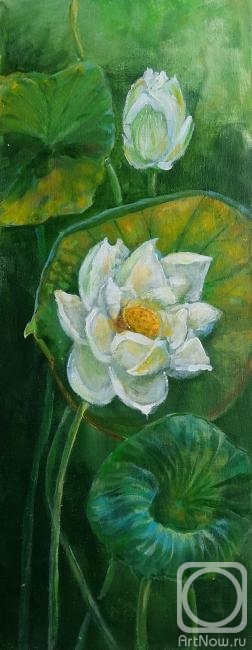 �������. �������� ���������. �����